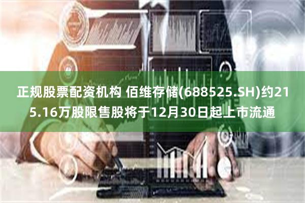 正规股票配资机构 佰维存储(688525.SH)约215.16万股限售股将于12月30日起上市流通