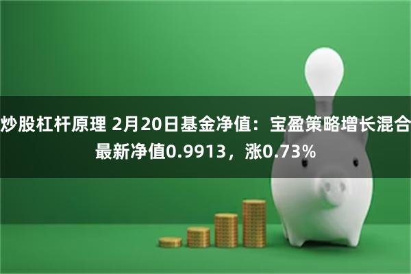 炒股杠杆原理 2月20日基金净值：宝盈策略增长混合最新净值0.9913，涨0.73%