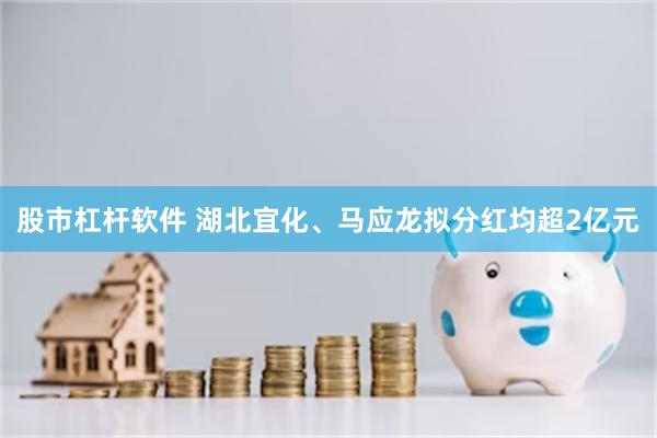 股市杠杆软件 湖北宜化、马应龙拟分红均超2亿元