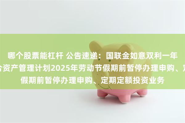 哪个股票能杠杆 公告速递：国联金如意双利一年持有期债券型集合资产管理计划2025年劳动节假期前暂停办理申购、定期定额投资业务