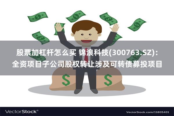 股票加杠杆怎么买 锦浪科技(300763.SZ)：全资项目子公司股权转让涉及可转债募投项目