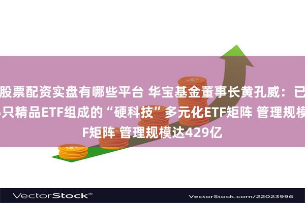 股票配资实盘有哪些平台 华宝基金董事长黄孔威：已形成由15只精品ETF组成的“硬科技”多元化ETF矩阵 管理规模达429亿