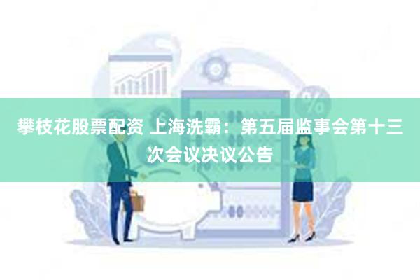 攀枝花股票配资 上海洗霸：第五届监事会第十三次会议决议公告