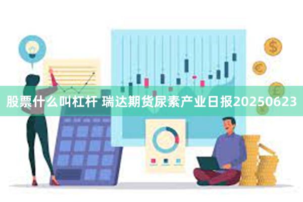 股票什么叫杠杆 瑞达期货尿素产业日报20250623