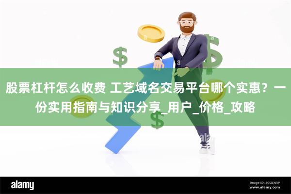 股票杠杆怎么收费 工艺域名交易平台哪个实惠？一份实用指南与知识分享_用户_价格_攻略
