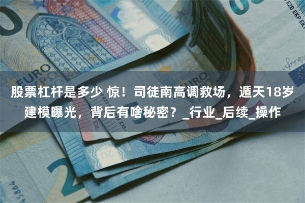 股票杠杆是多少 惊！司徒南高调救场，遁天18岁建模曝光，背后有啥秘密？_行业_后续_操作