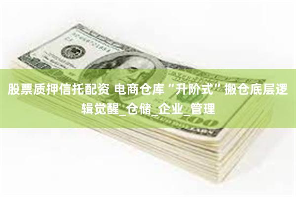 股票质押信托配资 电商仓库“升阶式”搬仓底层逻辑觉醒_仓储_企业_管理