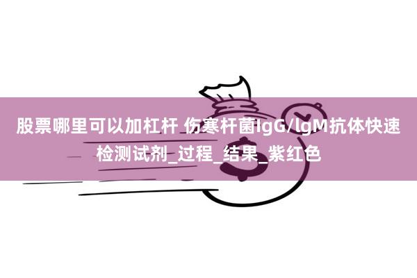 股票哪里可以加杠杆 伤寒杆菌IgG/lgM抗体快速检测试剂_过程_结果_紫红色