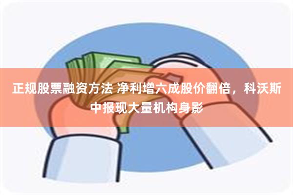 正规股票融资方法 净利增六成股价翻倍，科沃斯中报现大量机构身影